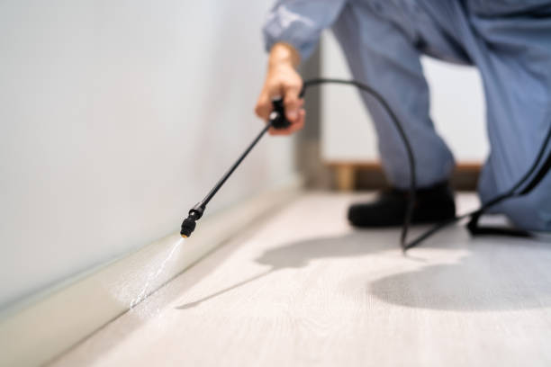 Certified termite inspector examining foundation in Biglerville