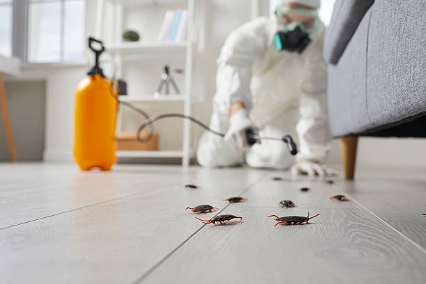 Commercial Rodent Management in Biglerville